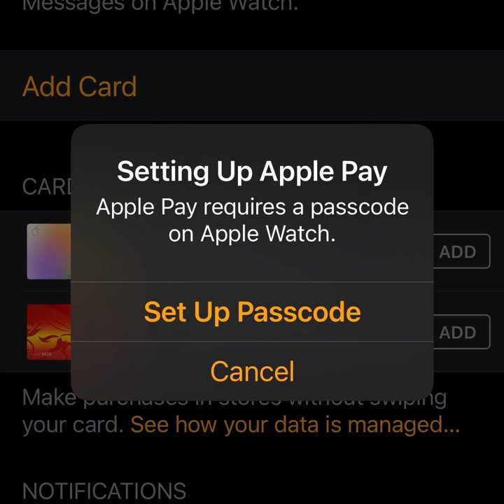 Apple Watch Apple Pay set up passcode.